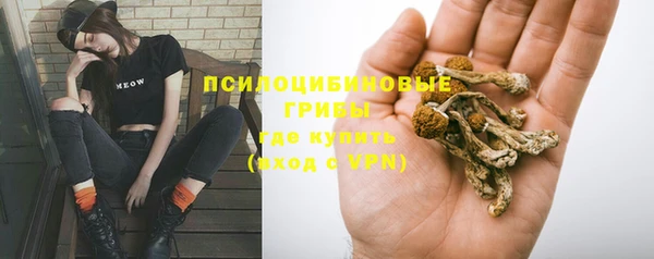дживик Алексин