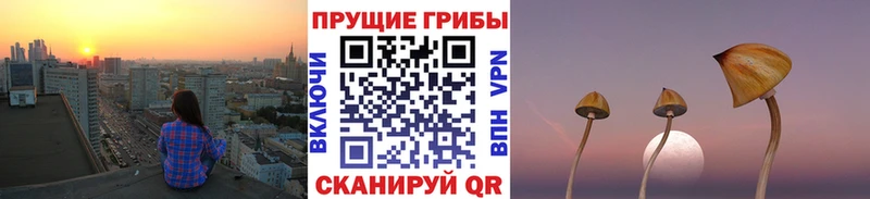 Псилоцибиновые грибы Cubensis купить наркотик Комсомольск